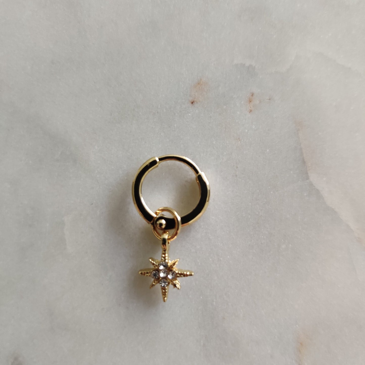 Multi Hoop Earring